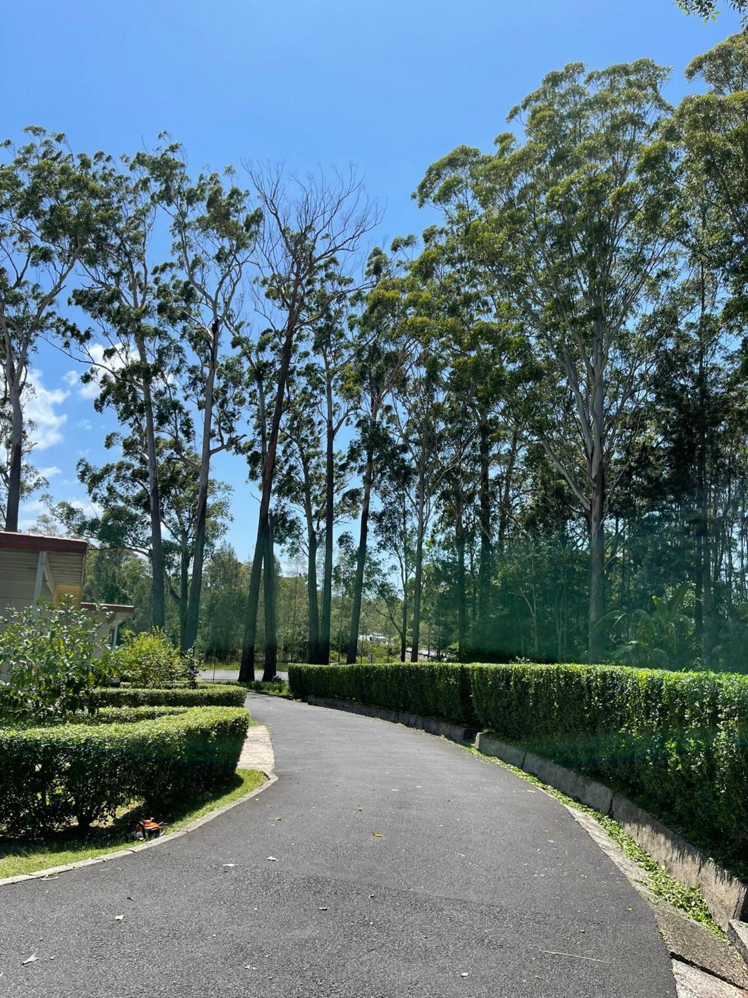 Major Innes Motel Port Macquarie Exterior photo