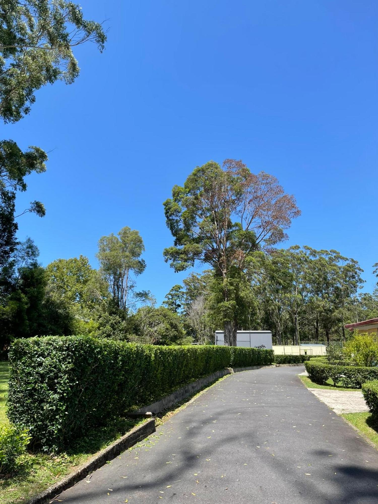 Major Innes Motel Port Macquarie Exterior photo