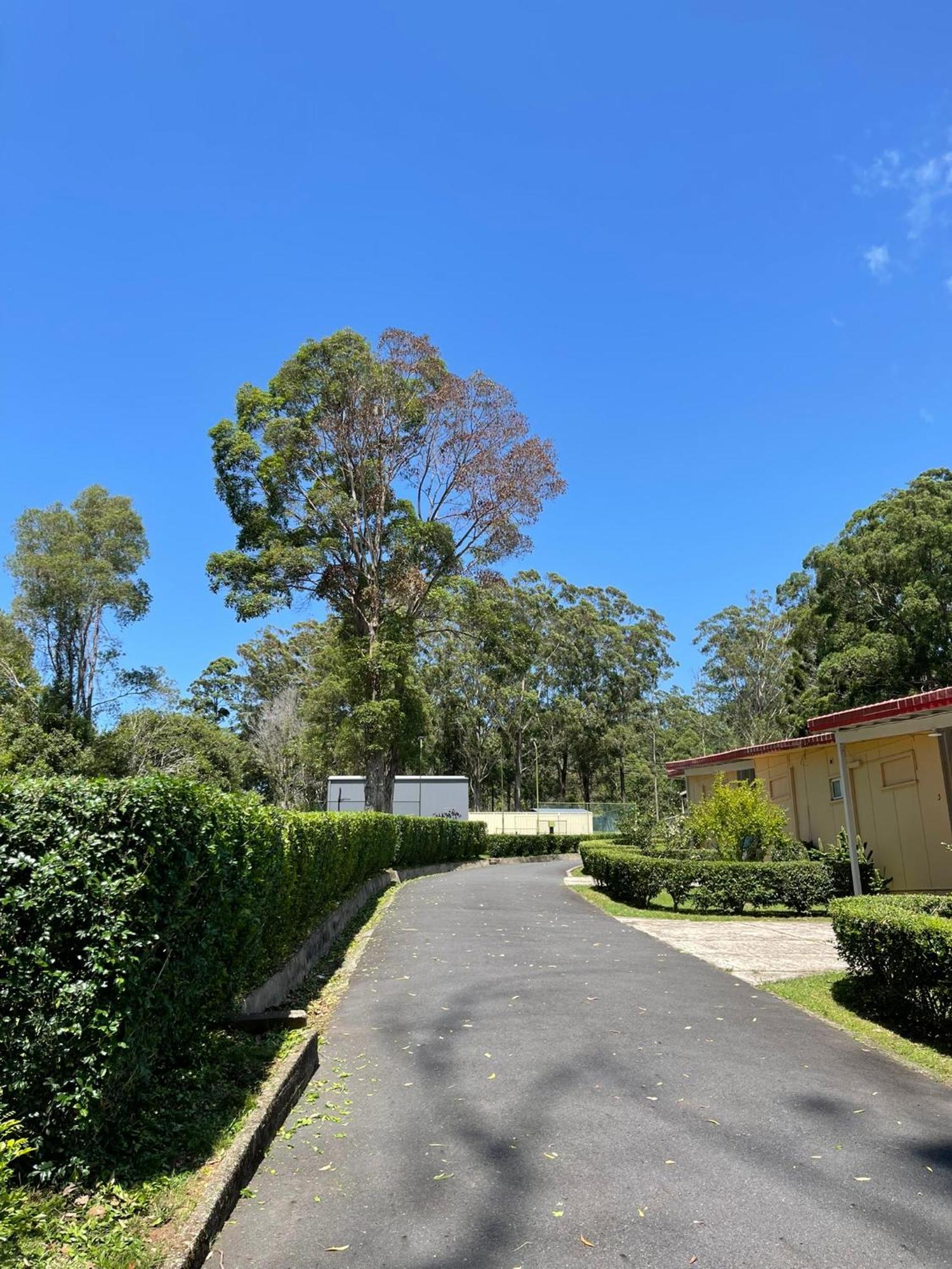 Major Innes Motel Port Macquarie Exterior photo