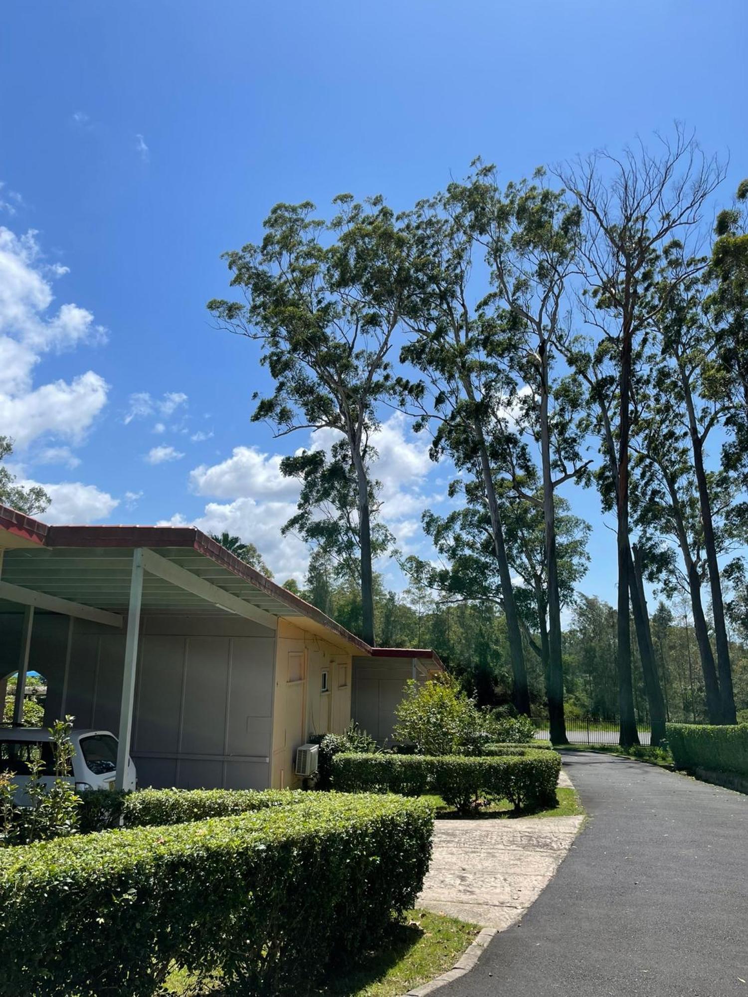 Major Innes Motel Port Macquarie Exterior photo